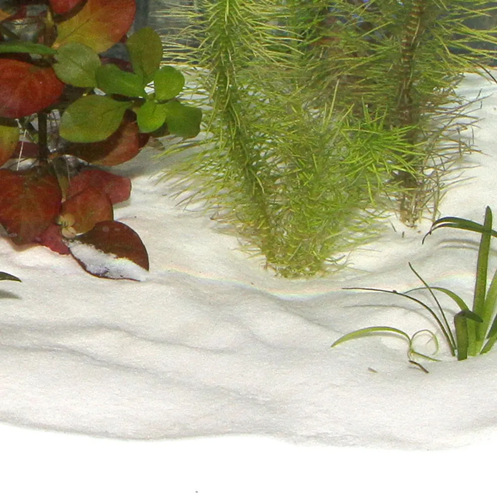 Jbl Sansibar Snow 5 kg Akvariegrus